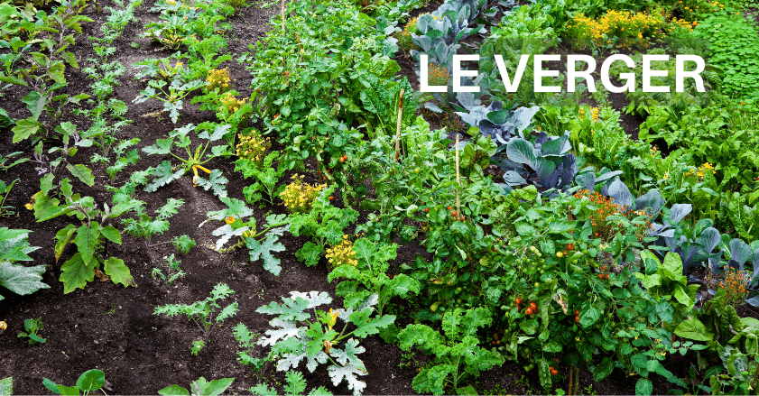 ACHETER DES LÉGUMES ET LÉGUMES